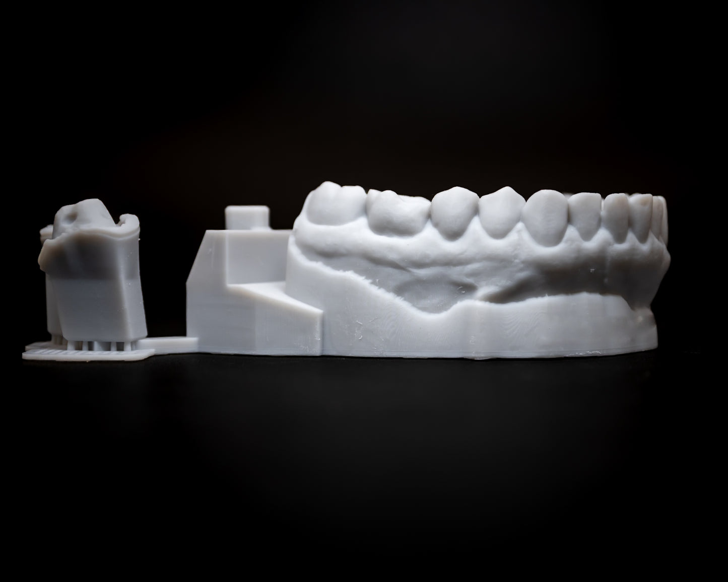 3D Printed Models