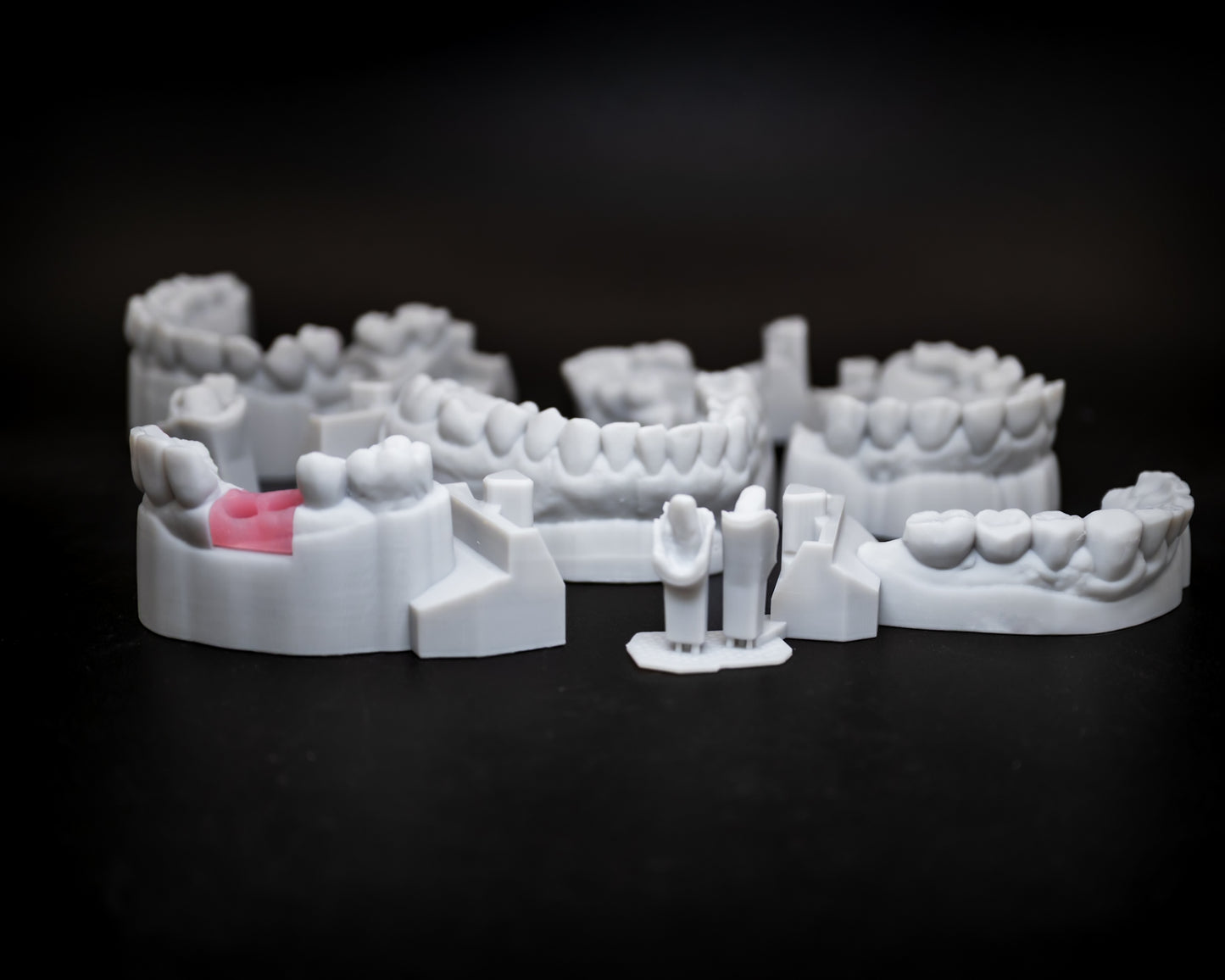 3D Printed Models