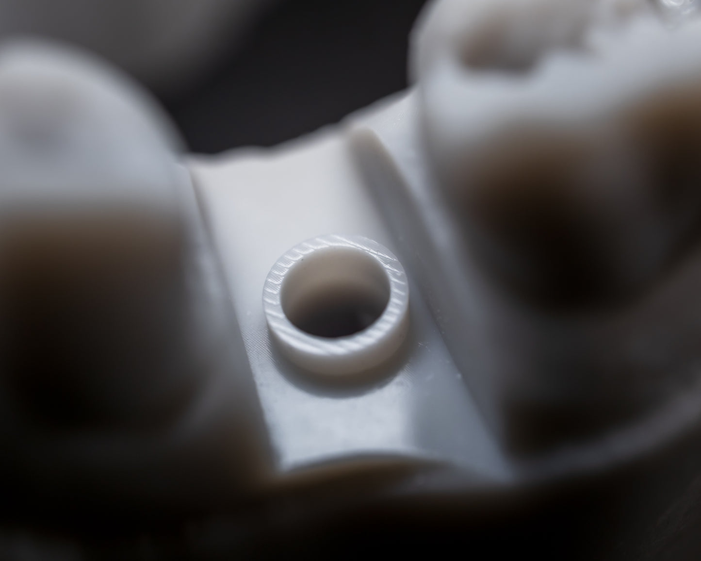 3D Printed Models