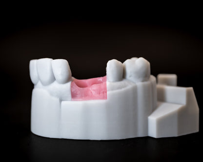 3D Printed Models