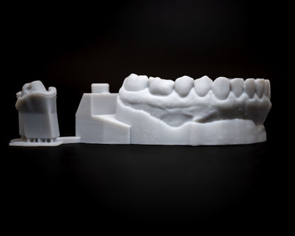 3D Printed Models